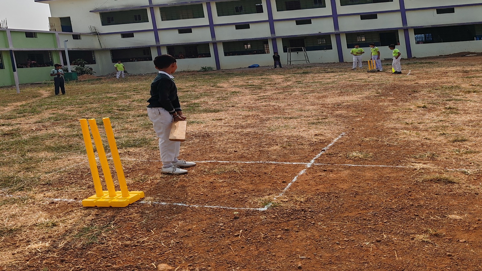 Cricket.jpg